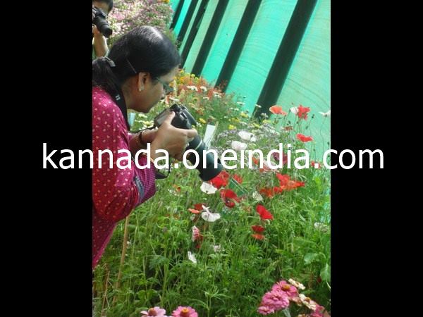 ಹೊಸತನ ತುಂಬುತ್ತದೆ