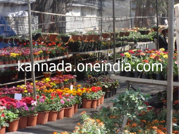 ಮಾರಾಟ ಮತ್ತು ಪ್ರದರ್ಶನ
