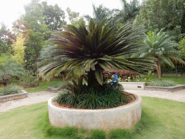 Malleswaram Sangolli Rayanna Park