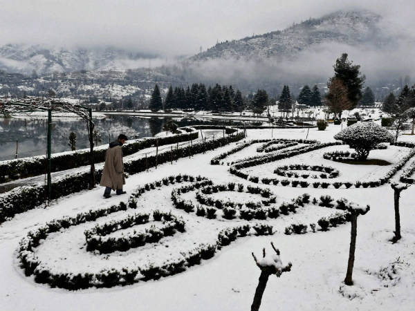 ಹಿಮಾಚ್ಛಾದಿತ ಉದ್ಯಾನ