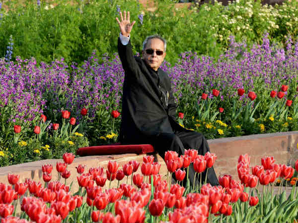 ಮುಘಲ್ ಉದ್ಯಾನದಲ್ಲಿ ರಾಷ್ಟ್ರಪತಿ