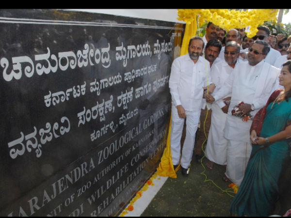 Mysuru may soon get wildlife safari, Siddaramaiah
