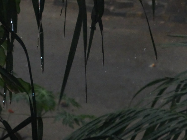 ಎಲ್ಲಿ ಎಷ್ಟು ಮಳೆ ಬಂತು