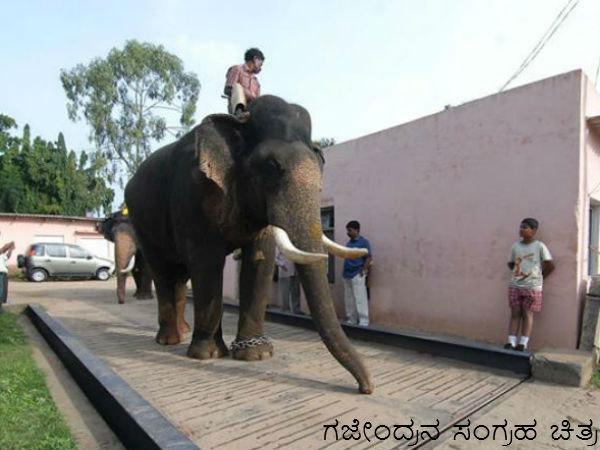 Gajendra Gajendra