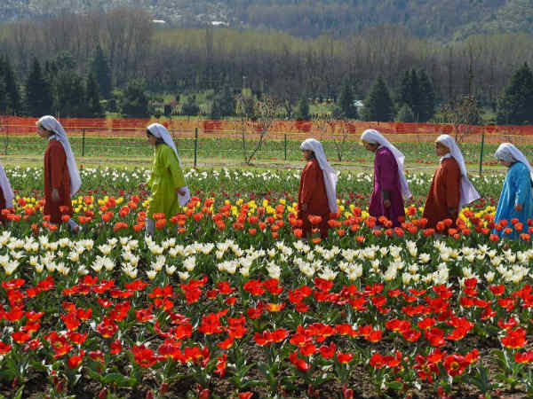 ಹೂವೇ ಹೂವೇ