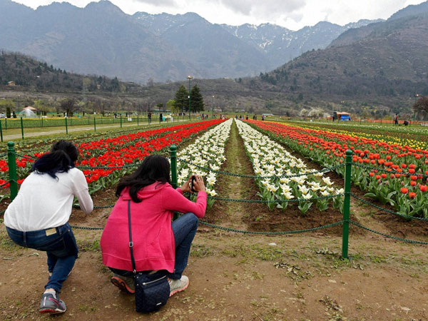 ಝಬರ್ವಾನ್ ಬೆಟ್ಟ ಪ್ರದೇಶ ಬಳಿಯ ತೋಟ ಝಬರ್ವಾನ್ ಬೆಟ್ಟ ಪ್ರದೇಶ ಬಳಿಯ ತೋಟ