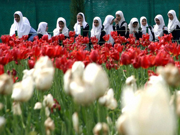 ಶಾಲೆಗೆ ಹೋಗುವಾಗ ಬರುವಾಗ ಹೂದೋಟದ ಹಾದಿ ಶಾಲೆಗೆ ಹೋಗುವಾಗ ಬರುವಾಗ ಹೂದೋಟದ ಹಾದಿ