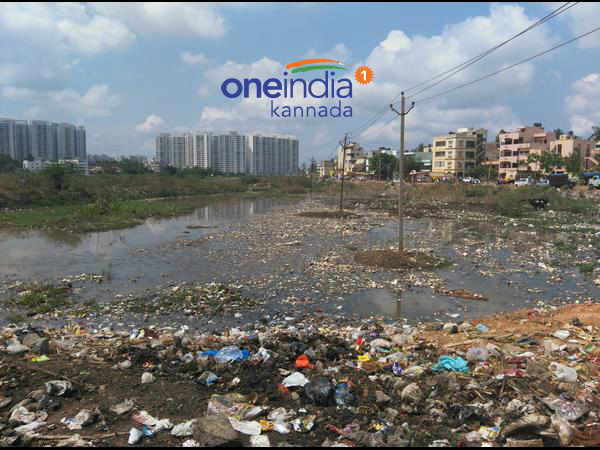 ವಿಶಾಲವಾದ ಕೆರೆ ಹೇಗಿದೆ?