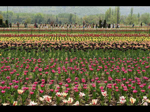 ವಿಶ್ವಸಂಸ್ಥೆಯಿಂದ ಪರಿಸರ ರಕ್ಷಣೆ ಸಂದೇಶ