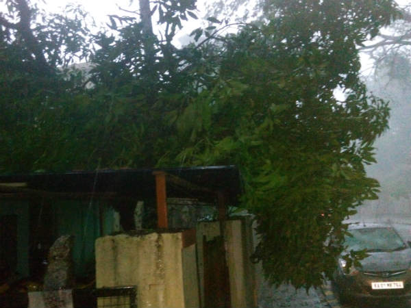 ಚಿತ್ರದುರ್ಗದಲ್ಲಿ ಬೆಳೆಹಾನಿ