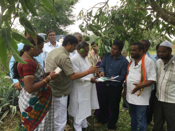 ಕೋಲಾರ ಜಿಲ್ಲೆಯಲ್ಲಿ ಅಪಾರ ಬೆಳೆನಾಶ