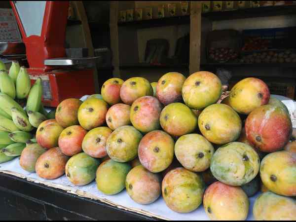ಸಿಸನ್ ಗೆ ಅನುಗುಣವಾಗಿ ಬದಲಾವಣೆ