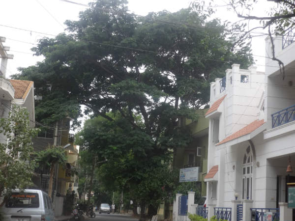 ಗೊಂದಲದ ಹೇಳಿಕೆ 