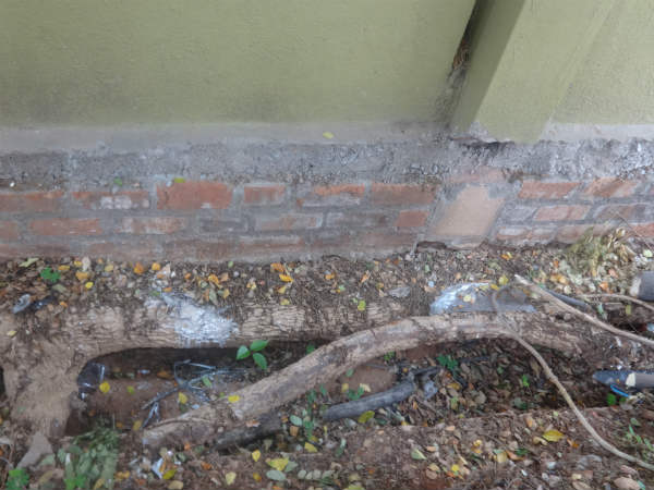 ಯಾವ ಕಾರಣಕ್ಕೂ ಕಡಿತ ಬೇಡ 