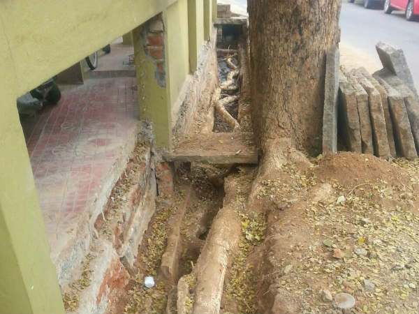 ಸಮತೋಲನ ವಿರಲಿ 