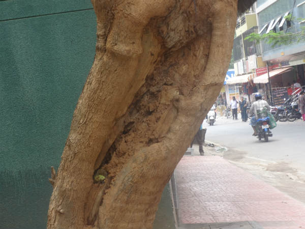 ಪರಿಹಾರ ಏನು? 