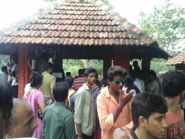 ಹೊಟ್ಟೆ ತುಂಬಿಸಿದ ಫ್ರೈ, ಕಬಾಬ್