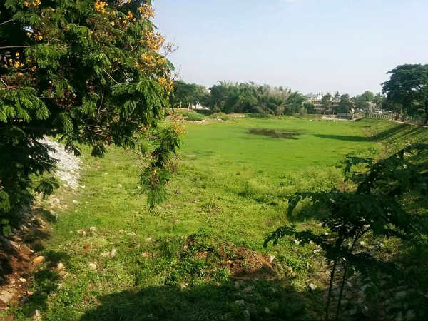 ವಿವಿಧ ಕೆರೆಗಳಿಗೆ ಭೇಟಿ ಸಮಿತಿ ಭೇಟಿ