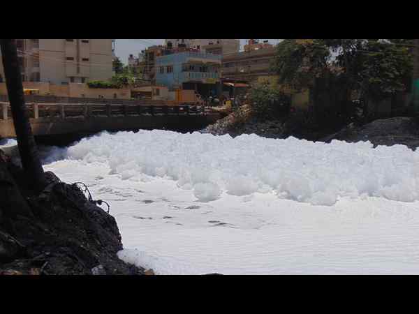 ಬೆಳ್ಳಂದೂರು ಕೆರೆಯನ್ನು ಏಕೆ ದತ್ತು ತೆಗೆದುಕೊಂಡಿಲ್ಲ?