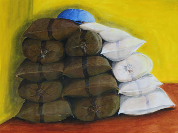 Bechelor of Visual Arts for PUC pass students by Alvas, Moodbidri