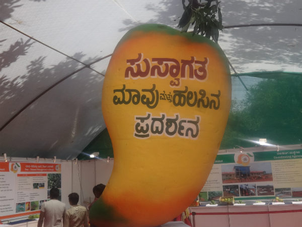 ಹಣ್ಣಿನ ದರಪಟ್ಟಿ ನೋಡಿ