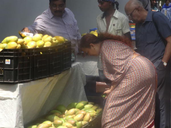 ಹಣ್ಣಿನ ದರಪಟ್ಟಿ ನೋಡಿ