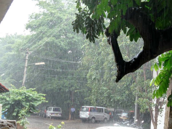 ರೈತರ ಮೊಗದಲ್ಲಿ ಸಂತಸ