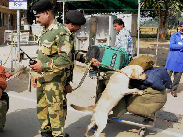 What Indian Army does when dog retires or unfit to serve