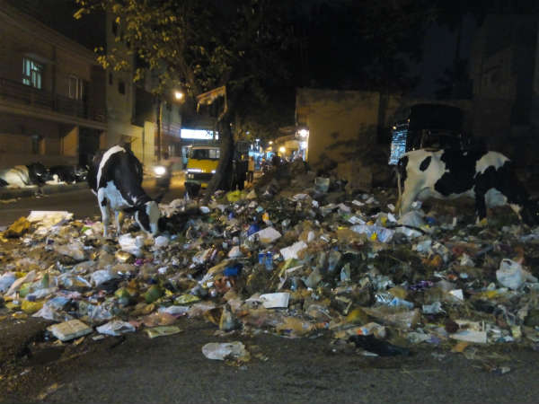 What this person is searching for in Bengaluru