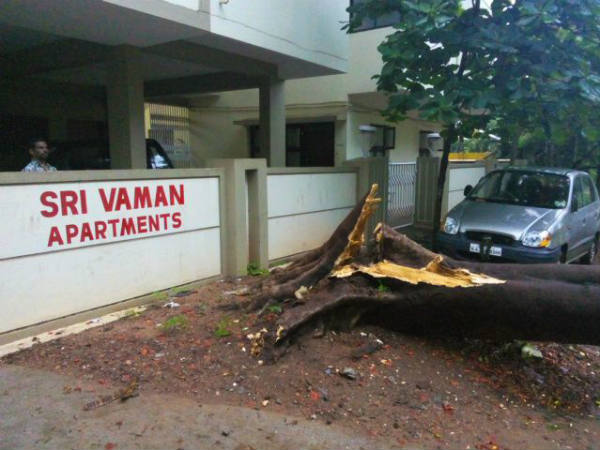 cyclone