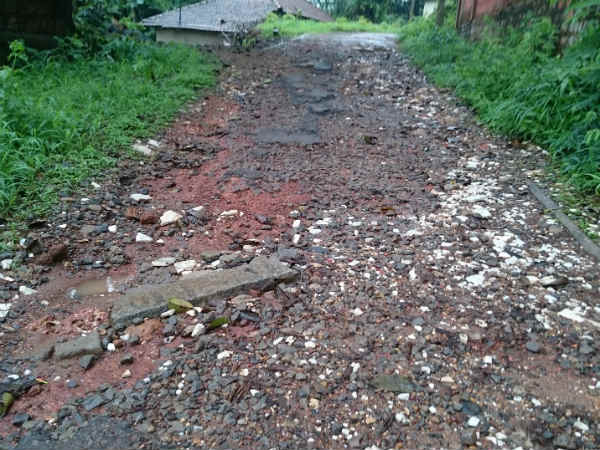 ಮ್ಯೂಸಿಯಂಗೆ ಸರಿಯಾದ ರಸ್ತೆ ಇಲ್ಲ