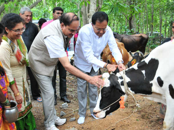 ಸ್ವಾವಲಂಬನೆಯ ಬದುಕಿಗೆ ಗೋವು ಆಧಾರ ಸ್ವಾವಲಂಬನೆಯ ಬದುಕಿಗೆ ಗೋವು ಆಧಾರ