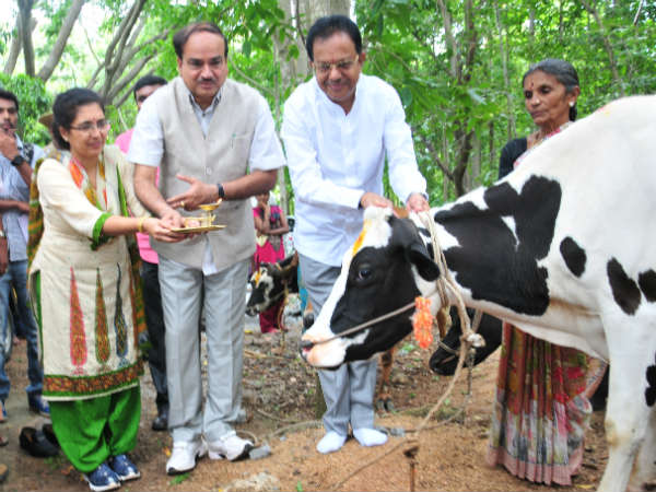 ಹಸಿರು ಕ್ರಾಂತಿ ಜೊತೆ ಕ್ಷೀರ ಕ್ರಾಂತಿ ಹಸಿರು ಕ್ರಾಂತಿ ಜೊತೆ ಕ್ಷೀರ ಕ್ರಾಂತಿ