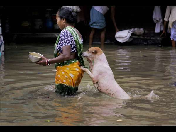 ಗಂಜಿ ಕೇಂದ್ರಗಳು