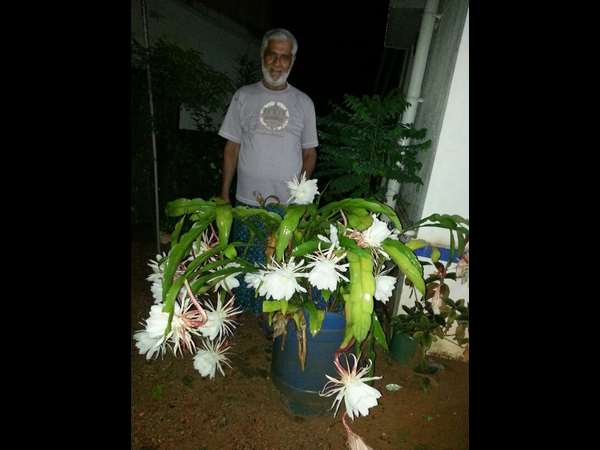 ಬ್ರಹ್ಮ ಕಮಲ ಎಂಬ ಹೆಸರು ಹೇಗೆ ಬಂತು?