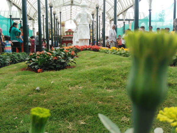 ಮನೆಯ ಸೌಂದರ್ಯ ಹೆಚ್ಚಿಸಬೇಕೆ? ಮನೆಯ ಸೌಂದರ್ಯ ಹೆಚ್ಚಿಸಬೇಕೆ?