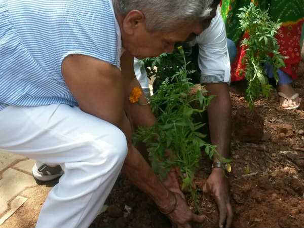 ಚೆಂಡು ಹೂವು ಕಮ್ಮಿಯೇನಿಲ್ಲ