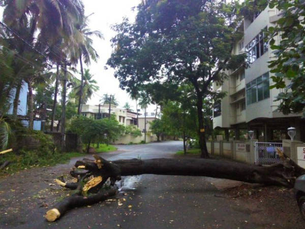 ಮರೆಯಾಗಿದ್ದ ಮಳೆ