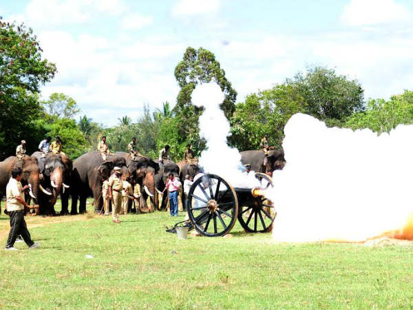 ತಾಲೀಮು ನಡೆಸಲಿವೆ ಆನೆಗಳು