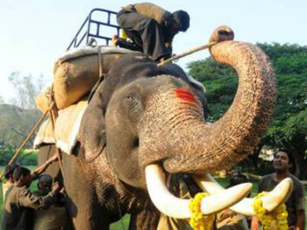 ತೊಟ್ಟಿಲ ರೀತಿಯ ವಸ್ತು ಇಡುತ್ತಾರೆ