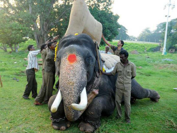 ಗಾದಿ ಎಂಬ ದೊಡ್ಡ ಹೊರೆ