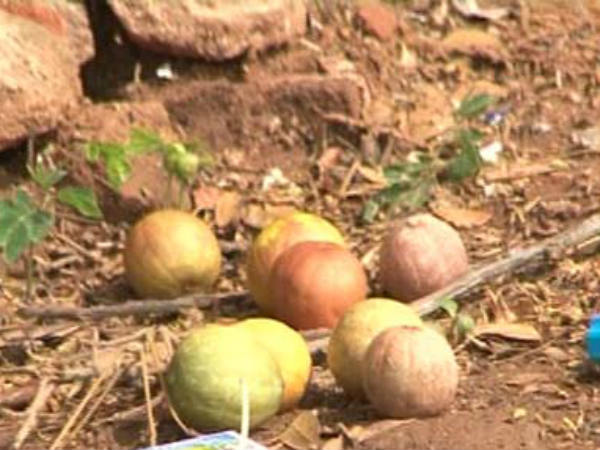 ಕಾಲಿನ ಹೆಬ್ಬೆರಳಿನಿಂದ ಉರಿ 
