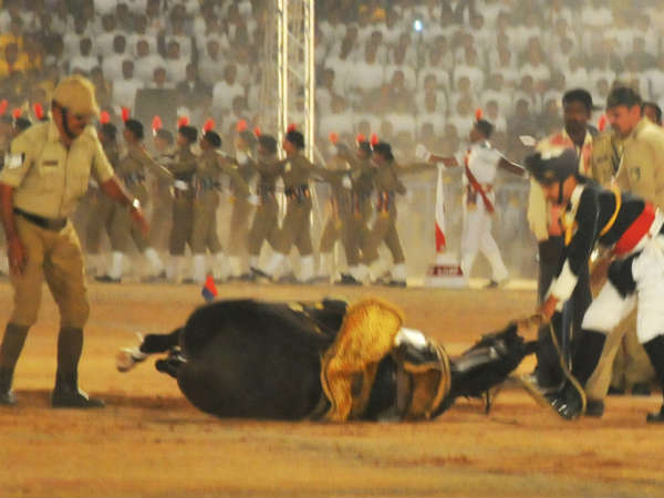 Mysore Dasara concludes, discussion about bad omen begins Mysore Dasara concludes, discussion about bad omen begins