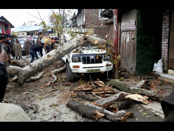 ರಿಕ್ಟರ್ ಮಾಪಕದಲ್ಲಿ 8.1 ತೀವ್ರತೆ ದಾಖಲು