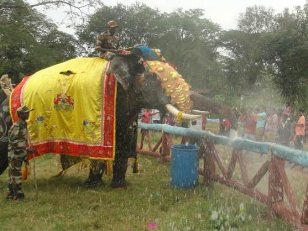 ಜನರಿಗೆ ಸ್ನಾನ ಮಾಡಿಸಿದ ಆನೆಗಳು