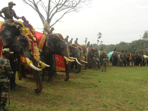 27 ಆನೆಗಳು ಪಾಲ್ಗೊಂಡಿದ್ದವು