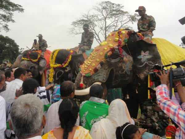 ಜನರನ್ನು ರಂಜಿಸಿದ ಆನೆಗಳು