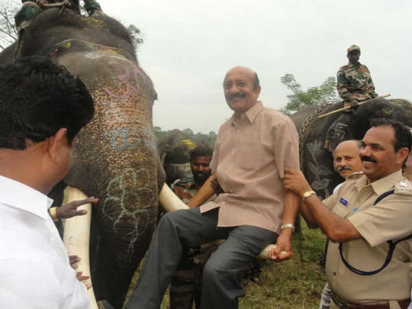 ನೂರಾರು ಜನರು ಆನೆ ಹಬ್ಬಕ್ಕೆ ಸಾಕ್ಷಿ