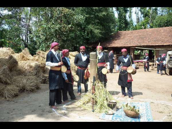ಕದಿರು ಕುಯ್ದ ಬಳಿಕ ಕದಿರನ್ನು ಏನು ಮಾಡ್ತಾರೆ? ಕದಿರು ಕುಯ್ದ ಬಳಿಕ ಕದಿರನ್ನು ಏನು ಮಾಡ್ತಾರೆ?
