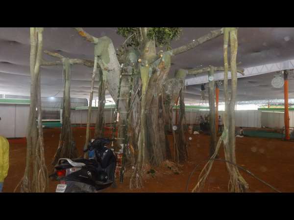 ಧರ್ಮದ ಕತೆ ಹೇಳುವ ಆಲದ ಮರ